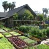 Horta